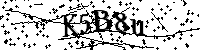 Bitte die Buchstaben und Zahlen unten eingeben
