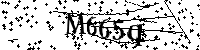 Inserire le lettere e i numeri qui sotto