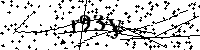 Inserire le lettere e i numeri qui sotto
