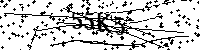 Inserire le lettere e i numeri qui sotto