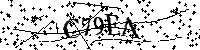 Inserire le lettere e i numeri qui sotto