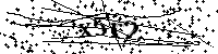 Inserire le lettere e i numeri qui sotto
