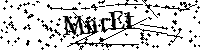 Inserire le lettere e i numeri qui sotto