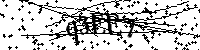 Bitte die Buchstaben und Zahlen unten eingeben
