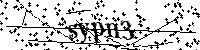 Inserire le lettere e i numeri qui sotto