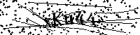 Inserire le lettere e i numeri qui sotto