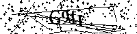Inserire le lettere e i numeri qui sotto