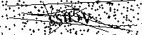 Bitte die Buchstaben und Zahlen unten eingeben