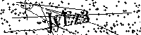 Inserire le lettere e i numeri qui sotto