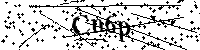 Merci de saisir les lettres et les chiffres ci-dessous