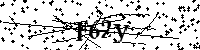 Inserire le lettere e i numeri qui sotto