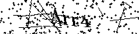 Inserire le lettere e i numeri qui sotto