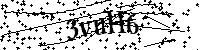 Inserire le lettere e i numeri qui sotto
