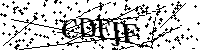 Inserire le lettere e i numeri qui sotto