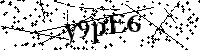 Inserire le lettere e i numeri qui sotto