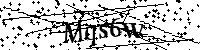 Inserire le lettere e i numeri qui sotto