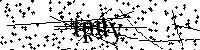 Inserire le lettere e i numeri qui sotto