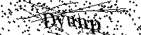 Inserire le lettere e i numeri qui sotto