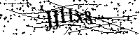 Inserire le lettere e i numeri qui sotto
