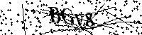 Inserire le lettere e i numeri qui sotto