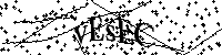 Inserire le lettere e i numeri qui sotto