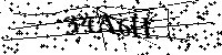 Inserire le lettere e i numeri qui sotto