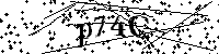 Inserire le lettere e i numeri qui sotto