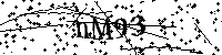 Inserire le lettere e i numeri qui sotto