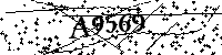 Inserire le lettere e i numeri qui sotto