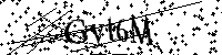 Inserire le lettere e i numeri qui sotto