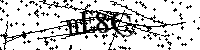 Inserire le lettere e i numeri qui sotto