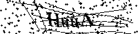 Bitte die Buchstaben und Zahlen unten eingeben