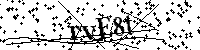 Inserire le lettere e i numeri qui sotto