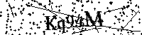Inserire le lettere e i numeri qui sotto