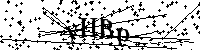 Inserire le lettere e i numeri qui sotto