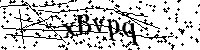 Bitte die Buchstaben und Zahlen unten eingeben