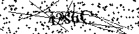 Inserire le lettere e i numeri qui sotto