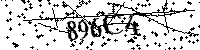 Inserire le lettere e i numeri qui sotto