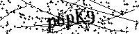 Bitte die Buchstaben und Zahlen unten eingeben