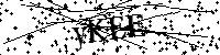 Inserire le lettere e i numeri qui sotto