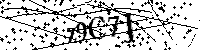 Inserire le lettere e i numeri qui sotto