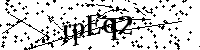 Inserire le lettere e i numeri qui sotto