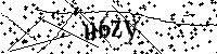 Bitte die Buchstaben und Zahlen unten eingeben