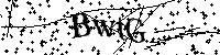 Inserire le lettere e i numeri qui sotto
