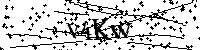 Bitte die Buchstaben und Zahlen unten eingeben