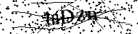 Bitte die Buchstaben und Zahlen unten eingeben