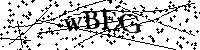 Inserire le lettere e i numeri qui sotto