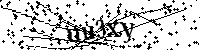 Inserire le lettere e i numeri qui sotto