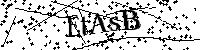 Bitte die Buchstaben und Zahlen unten eingeben