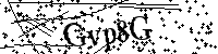 Inserire le lettere e i numeri qui sotto